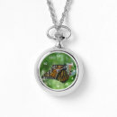 Buscar monarca collares Naturaleza