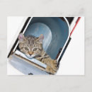 Buscar buzón postales Adorable