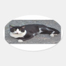 Buscar smoking pegatinas Gato