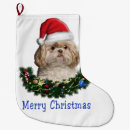 Buscar shihtzu casa hogar Adorable