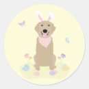 Buscar tirador pegatinas Recuperador dorado