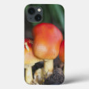 Buscar familias ipad fundas Bosque