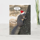 Buscar gangster tarjetas Animales