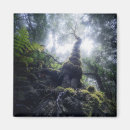 Buscar islas canarias imanes Naturaleza