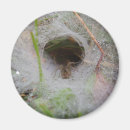 Buscar trampa imanes Naturaleza