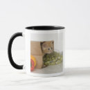 Buscar estudios tazas Humor