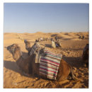 Buscar túnez azulejos Africano