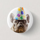 Buscar bulldog francés chapas Animales domésticos