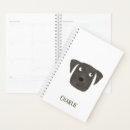 Buscar funny agendas Animal