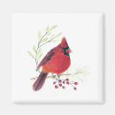 Buscar cardenales imanes Naturaleza