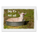 Buscar granja divertida tarjetas Animales de granja divertidos