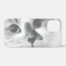 Buscar gatitos samsung fundas Gris