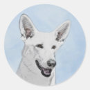 Buscar pastor blanco pegatinas Para todos