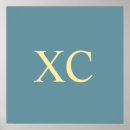 Buscar números romanos posters Para todos