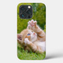 Buscar gatitos divertidos iphone fundas Para ella