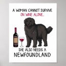 Buscar perro de terranova posters Cachorro