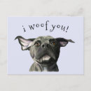 Buscar pitbull postales Amantes del perro