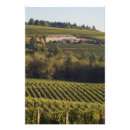Buscar pinot posters Bodega