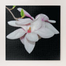 Buscar magnolia blanca puzzles Blanco