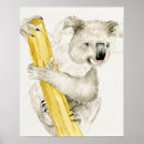 Buscar osos de koala posters Bebé
