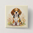 Buscar beagle chapas Perros