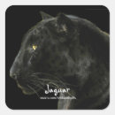 Buscar jaguar negro postales Jaguares