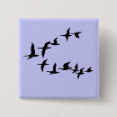 Buscar gansos chapas Lindo