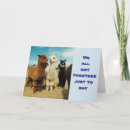 Buscar fábula tarjetas General y unisex