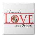 Buscar perro del beagle azulejos Animal