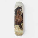 Buscar equitación tablas de skate Caballo