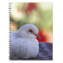 Buscar palomas cuadernos Pájaro