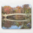 Buscar reflections Autumn