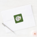 Buscar lilly pegatinas Calla lily