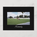 Buscar kentucky postales Turismo