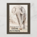 Buscar chobe África