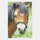 Buscar pony paños de cocina Animal