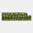Buscar fruta pegatinas parachoque Sandía