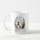 Buscar collies barbudos tazas Animal