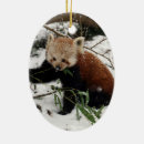 Buscar oso panda lindo adornos China