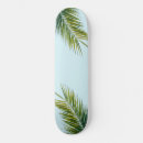 Buscar palmas tablas de skate Palmera