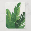 Buscar tropical postales Verde