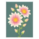 Buscar margaritas fotografía Verano