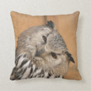 Buscar búho grande cojines Raptor