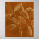 Buscar óxido posters Botánico