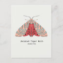 Buscar polilla postales Lunar