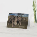 Buscar día del elefante tarjetas Elefantes