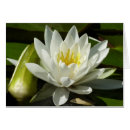 Buscar almohadilla tarjetas Floral