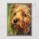 Buscar perros postales Adorable