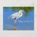Buscar gordas postales General y unisex
