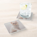 Buscar largo posavasos Gato